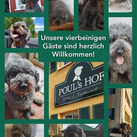 Pouls Hof Weimar Erfurt 3* Klettbach